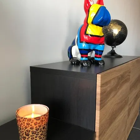 Apartment Cosy, Trendy En Zuid Gelegen Ruim Op 100m En Winkelstraat