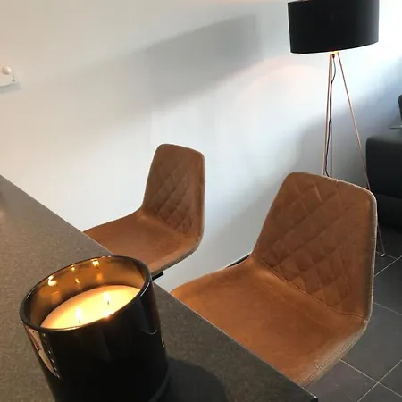 Cosy, Trendy En Zuid Gelegen Ruim Op 100m En Winkelstraat