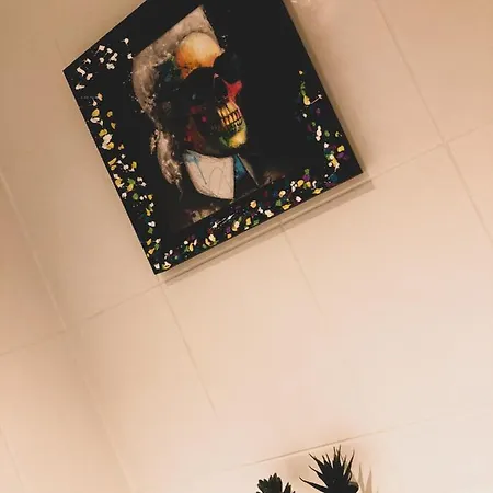 Cosy, Trendy En Zuid Gelegen Ruim Op 100m En Winkelstraat