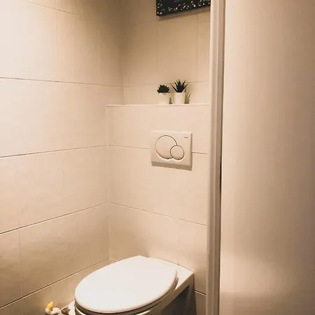 Cosy, Trendy En Zuid Gelegen Ruim Op 100m En Winkelstraat