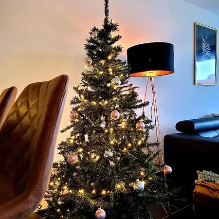 Cosy, Trendy En Zuid Gelegen Ruim Op 100m En Winkelstraat * Nieuwpoort